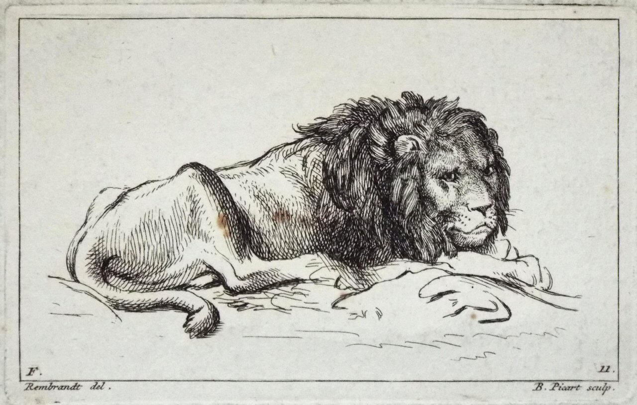Etching - F. 11. Lion - Picart